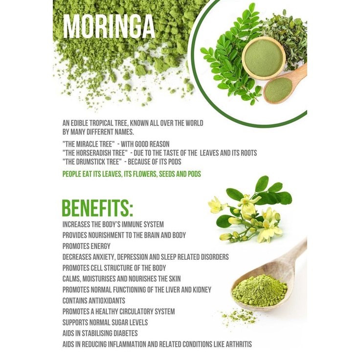 Moringa Powder / Daun Kelor Bubuk Organik
