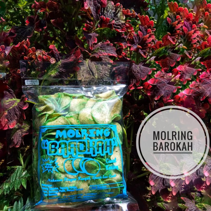

MOLRING BAROKAH