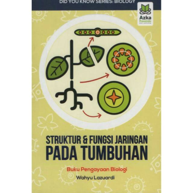 Struktur Dan Fungsi Jaringan Pada Tumbuhan