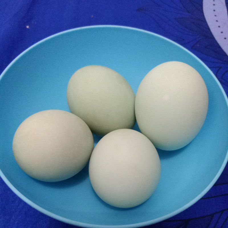 

telur bebek asin