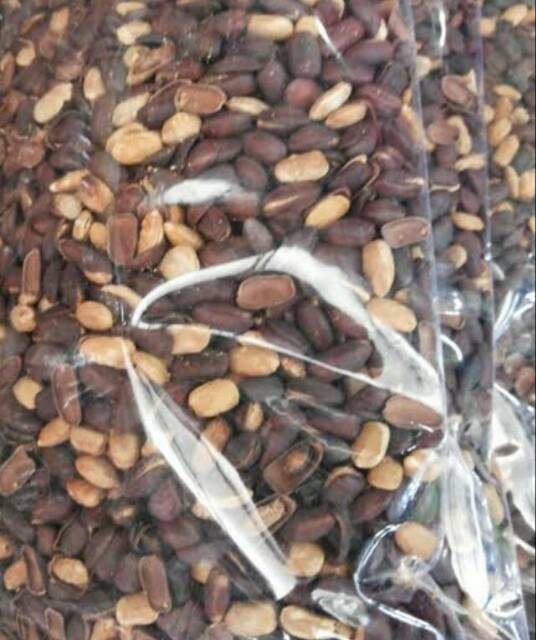 

Godril/biji trembesi GORENG