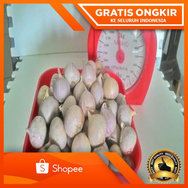 

SALE GILA Bawang Putih Tunggal Super (pilihan) 1 kg
