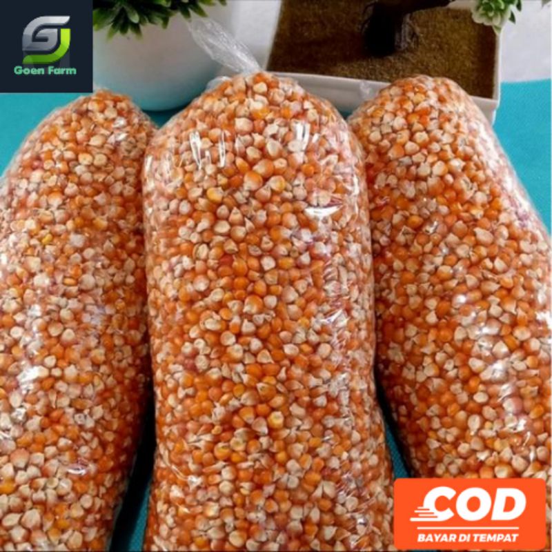 JAGUNG PIPIL KERING 1 KG