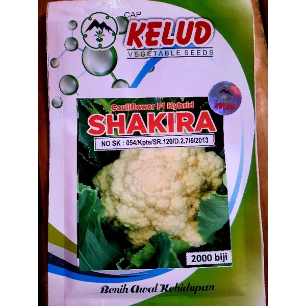 Benih bunga kol SHAKIRA F1 benih bunga kol berkualitas original seed