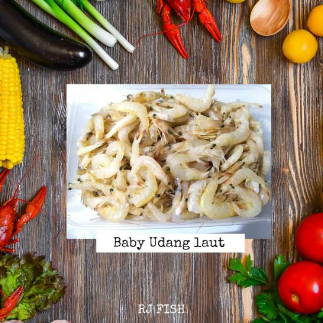 

Baby Udang Laut Fresh Beku RJ Fish 500gr