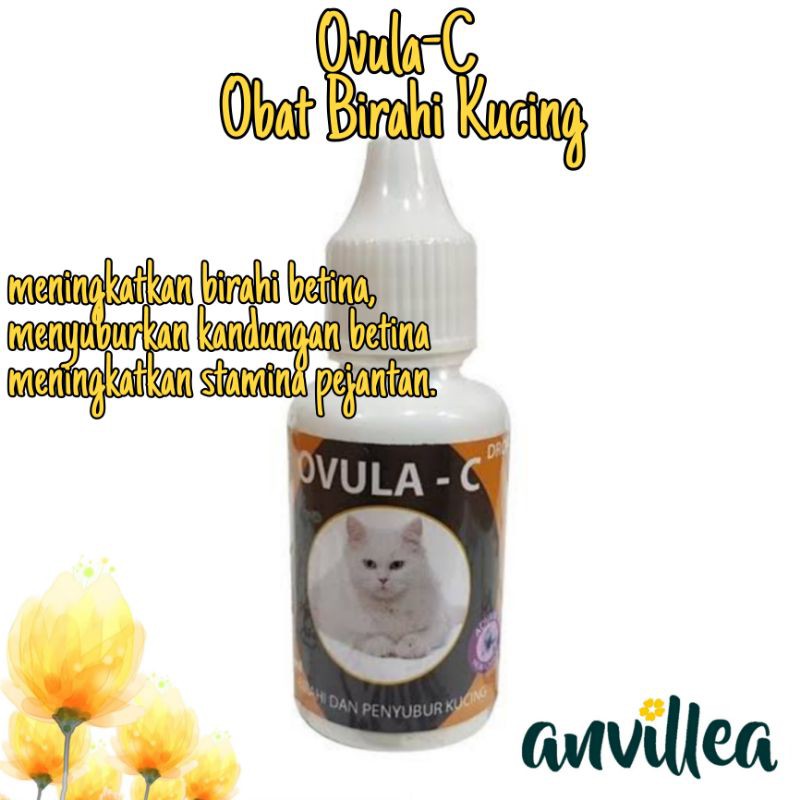 Ovula-C Obat Birahi untuk Kucing Jantan Betina
