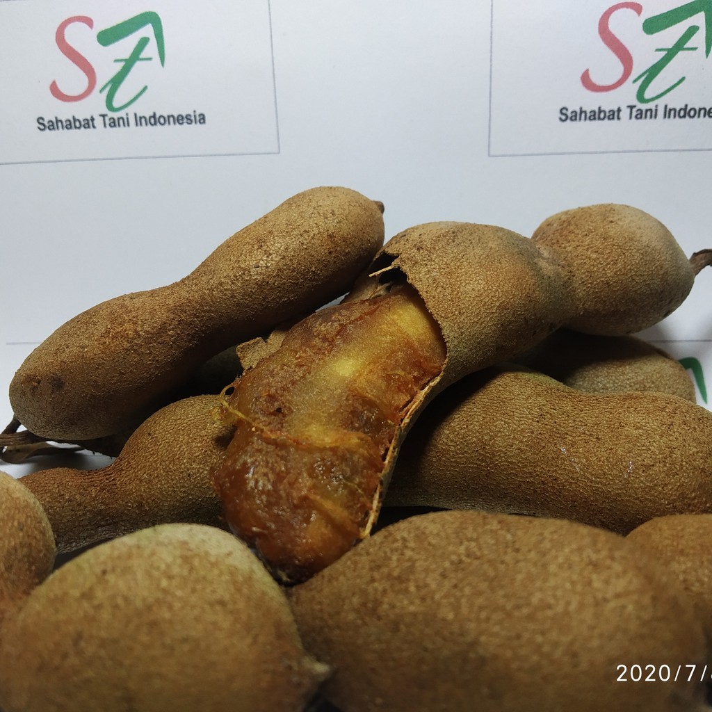 

Jual Asam Jawa Original Kemasan 1Kg, 2Kg, dst