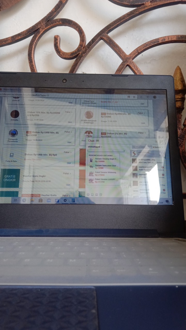 Bibit Seledri Benih Sayuran Unggul Benih Repack  Benih Seledri Amigo