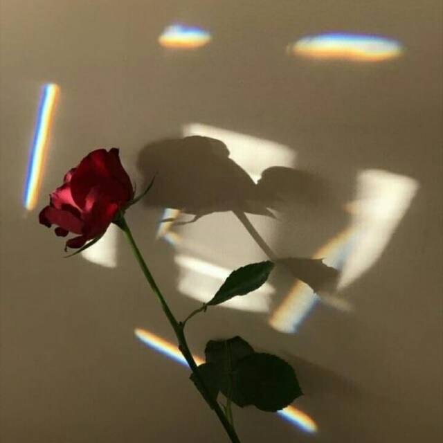 r*****a