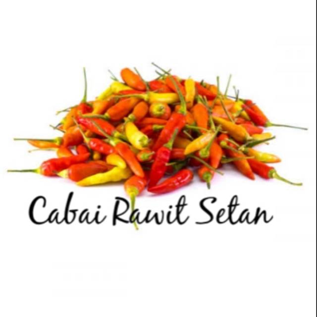 

Cabai Rawit Setan 100 Gram