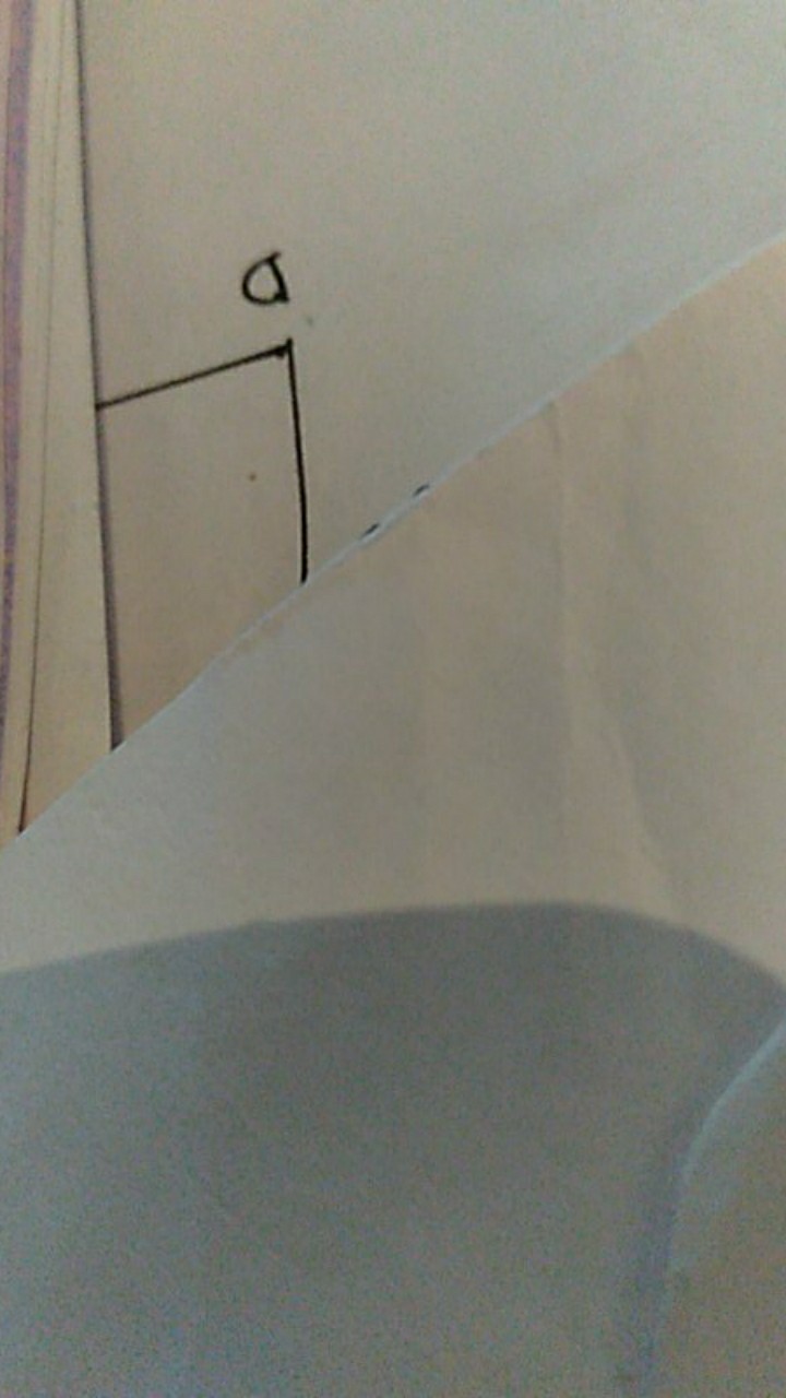 Pisau Plastik Pemotong Adonan Kue