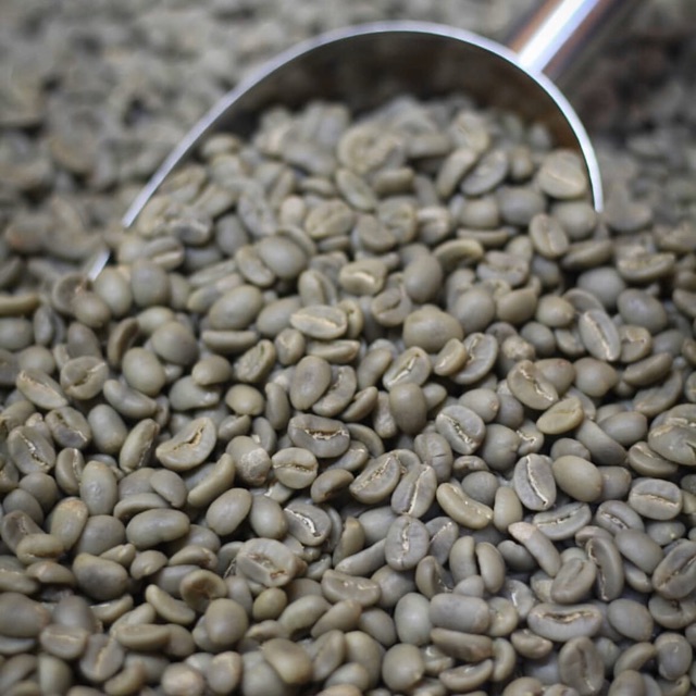 

Green bean arabica specialty