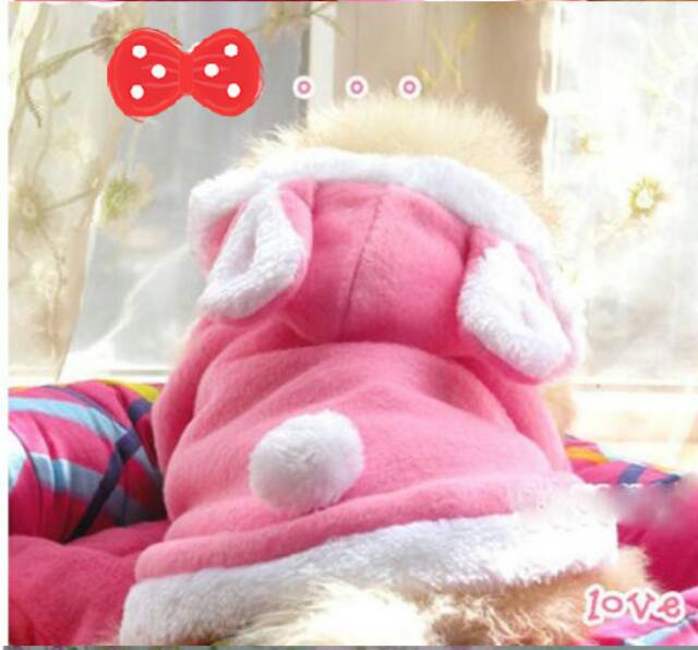 Baju hodie bunny lucu kucing kelinci anjing jaket hoodie