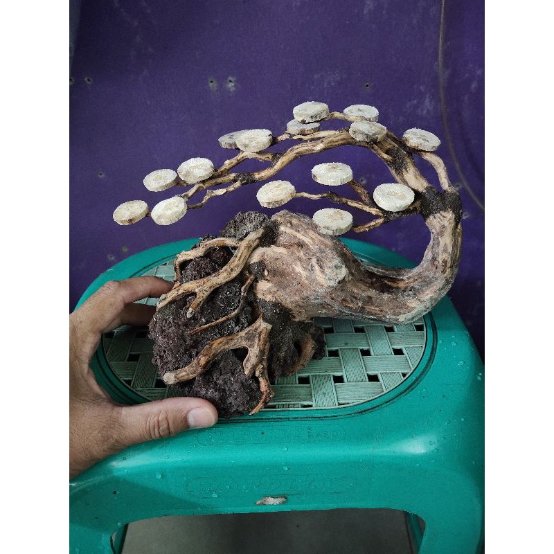 Bonsai Aquascape Bonsai Hardscape 30 - 40 Cm Aquarium