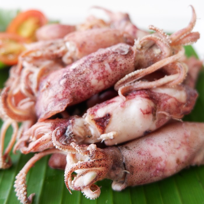 

SEAFOOD CUMI ASIN BASAH KERING TELUR IKAN LAUT 1 KG
