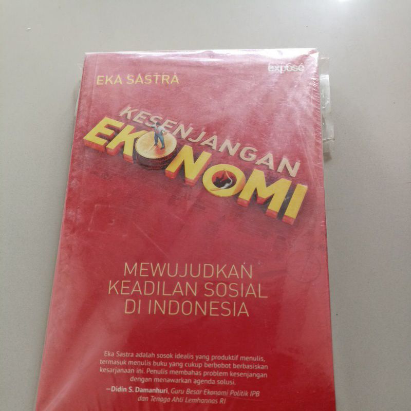 buku original KESENJANGAN EKONOMI mewujudkan keadilan sosial di indonesi
