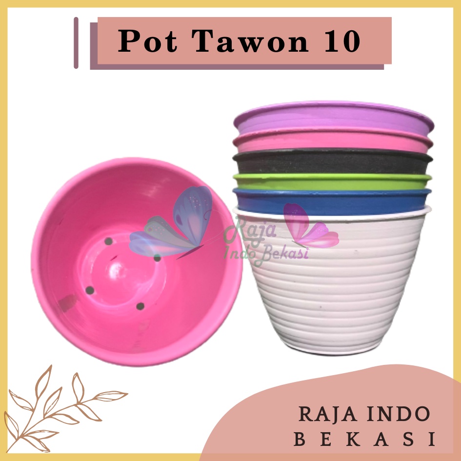 Pot Tawon 10 Cm Putih Pot Mdn - Pot Tawon 10 Cm Pirus Putih  Warna Warni