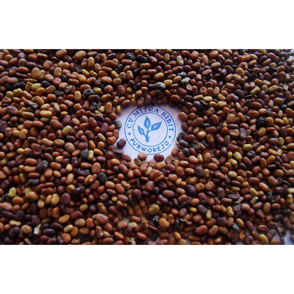 Biji Turi Super | Benih Bibit Turi | Biji Pohon Turi Siap Kirim Ke Tempat Anda
