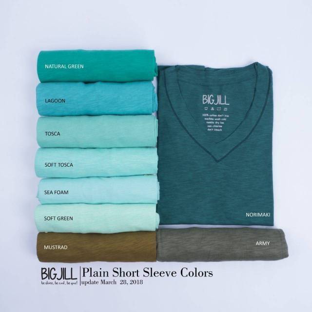 Big jill plain vneck / kaos bigjill / kaos polos / kaos adem / vneck tee / basic tee / pastel tee