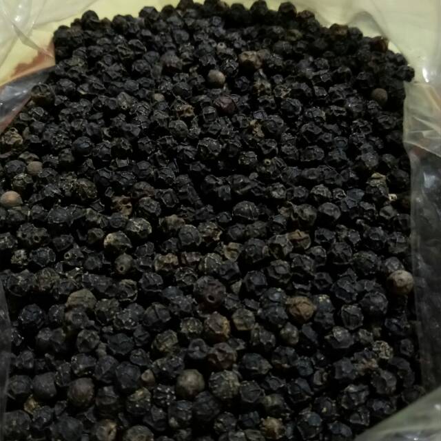 

Blackpepper Lada hitam biji merica hitam