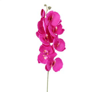  Bunga  Anggrek  Artifisial DIY Bahan Sutera Warna  Pink  Biru 