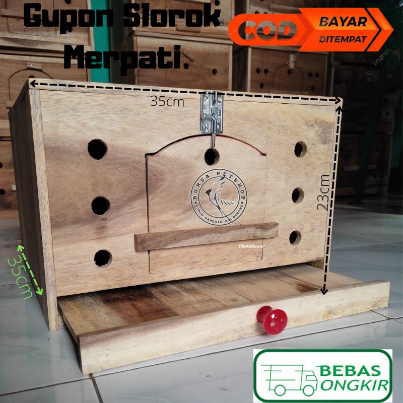 Gupon Merpati/Tong dara