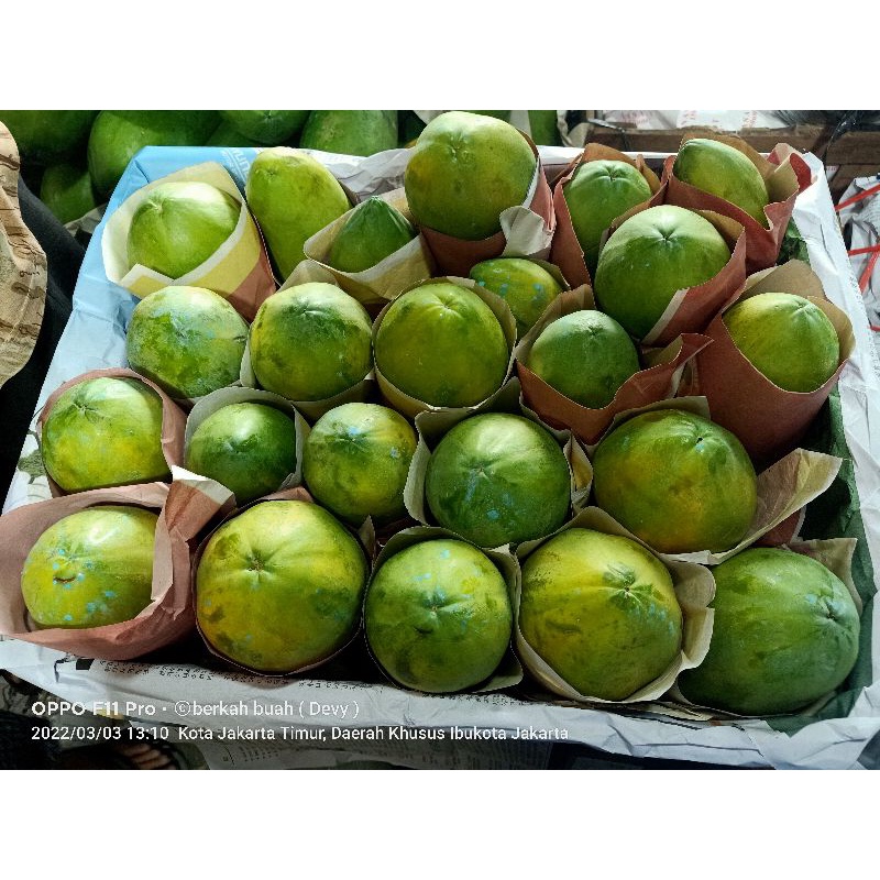 

pepaya California 1 buah
