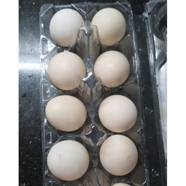 

ori.telur ayam kampung