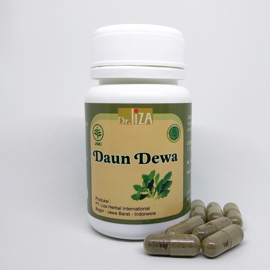 Daun Dewa Liza Herbal untuk mencegah kanker dan mengatasi TBC