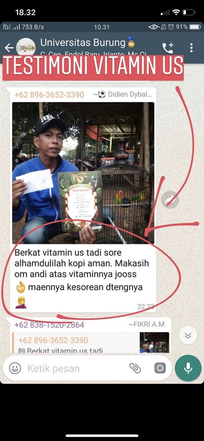 Vitamin US original obat vitamin burung kicau lovebird murai kacer cucak ijo cendet