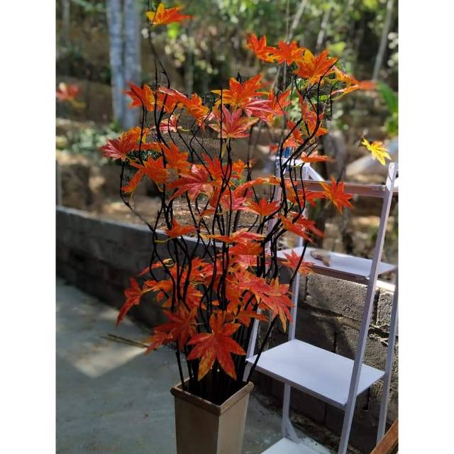 Daun maple hiasan bambu ulir