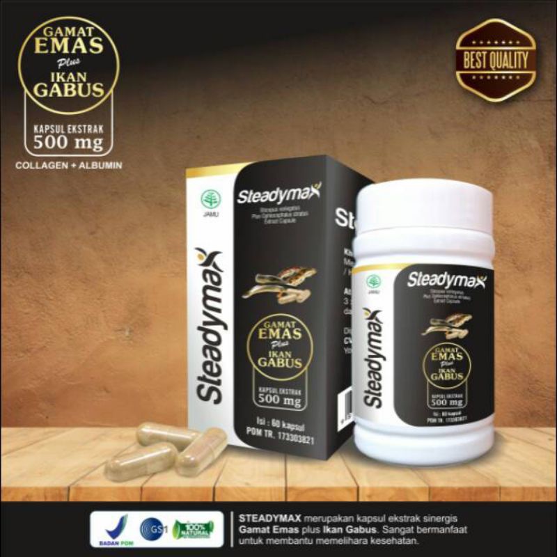 Steadymax Extra gamat plus ikan gabus