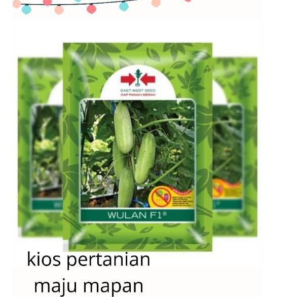 MEG Benih timun hibrida wulan F1 700butir ✰ ov (Diskon Promo)