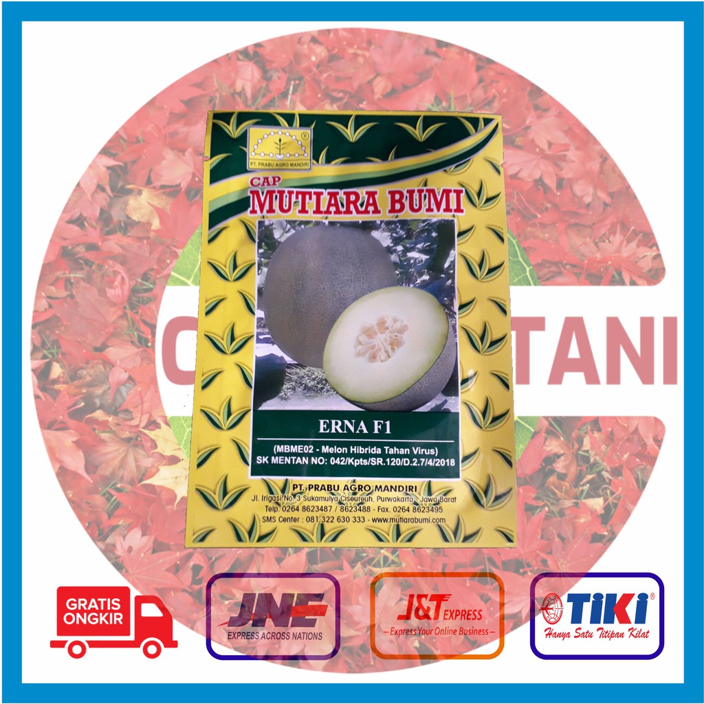 Benih Melon Erna F1 @ 15 GR