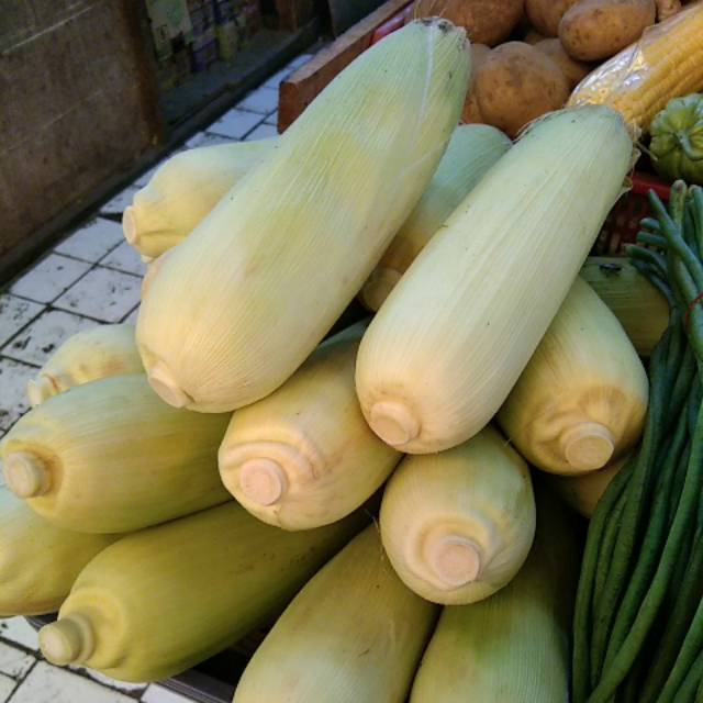 

Jagung Manis 1buah