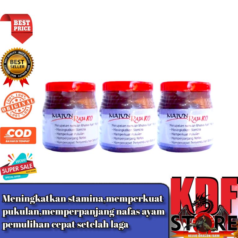 kamlang basah MAJUN RAJA KO ayam laga