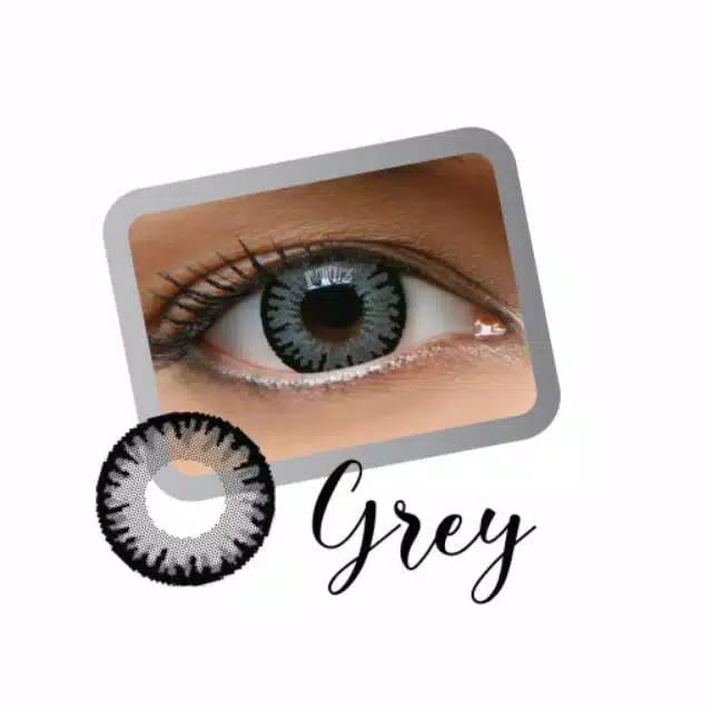 SOFTLENS NEWLOOK PLAYFUL MINUS (-0.50 s/d -8.00) GREY &amp; BROWN