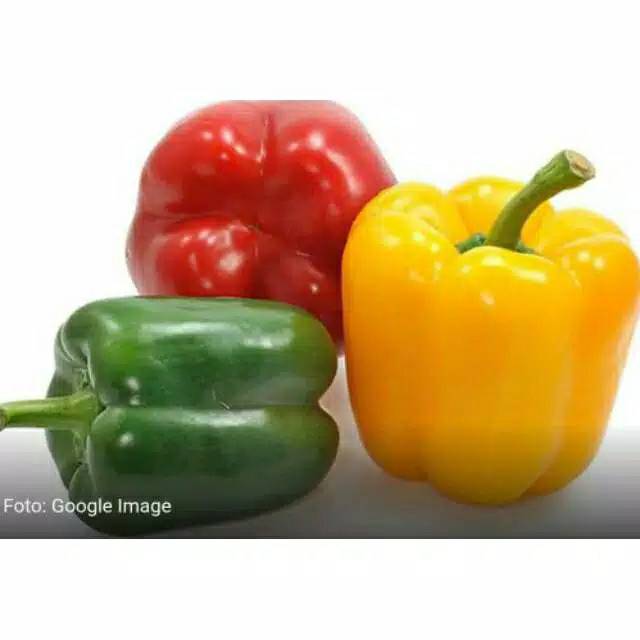 

[Sayur Segar] Paprika 500 grm
