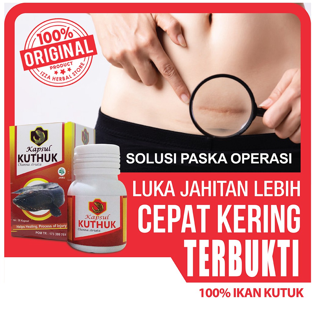 KUTHUK KAPSUL KUTUK PREMIUM Plus Ikan Kutuk Gabus/Albumin untuk Pemulihan Luka Jahitan Operasi