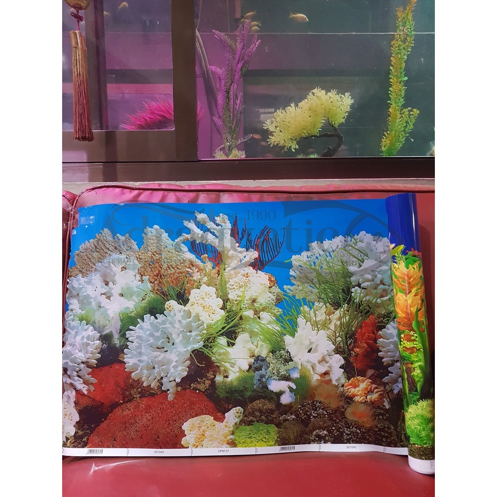 Wallpaper Aquarium Uk 40cm Gambar Motif Terumbu Karang Background Aquarium Per 1 Meter Shopee Indonesia