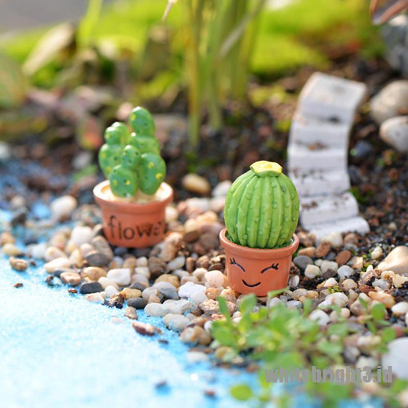 (white3) Miniatur Kaktus Untuk Dekorasi Taman Minifairy Garden DIY