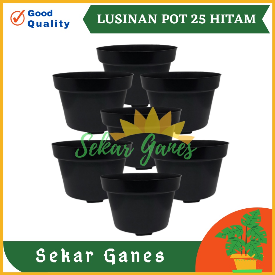 LUSINAN Pot 25 Hitam Isi 12 Pcs TERMURAH GROSIR Pot Lusinan Hitam Murah Termurah 12 15 17 20 25 30