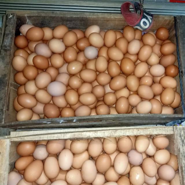 Telur ayam 15kg 1 peti