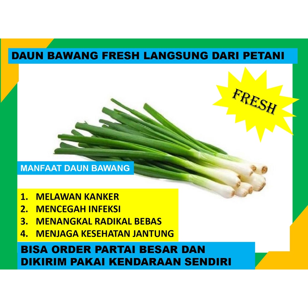 

Daun Bawang Fresh Box Langsung Dari Petaninya