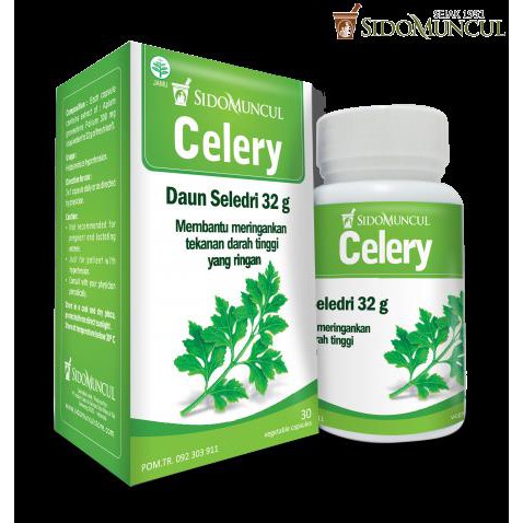 

SidoMuncul Celery 30 vegetable capsules | Ekstrak Daun Seledri terlaris