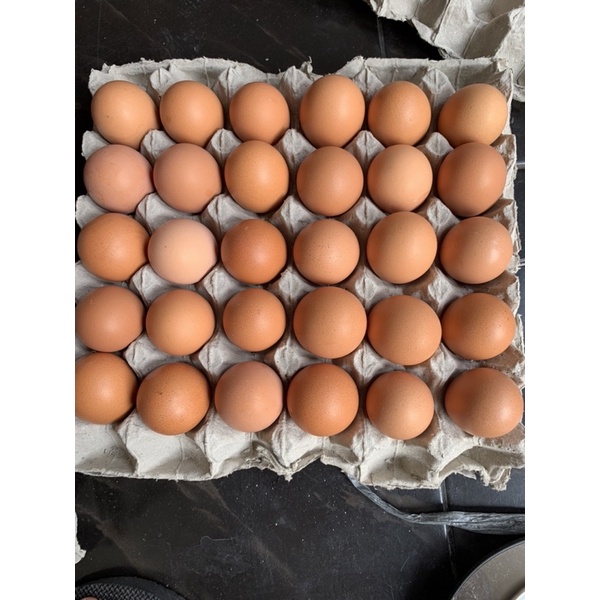 

telur curah 1 kg