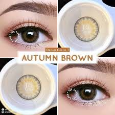 Softlens Autumn Dreamcolor1 DC1 Dreamcon Korea Gray Brown Normal Minus lensa kontak