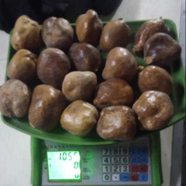 

Buah zuriat