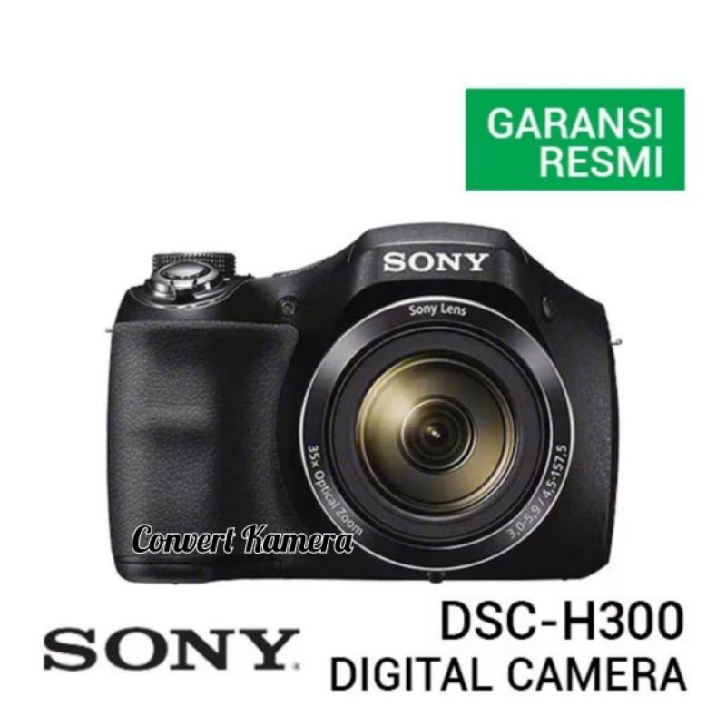 Sony DSC-H300 Cyber-Shot Digital Camera

