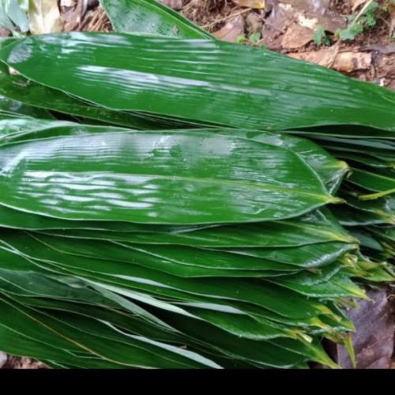 

Daun Bambu jumbo bungkus bakcang 100 Pcs / Rempah